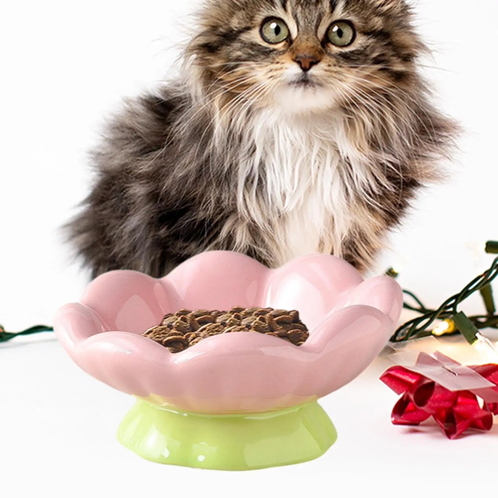 Bol Élevé en Céramique pour Animaux – Design Tulipe pour Chats & Petits Chiens