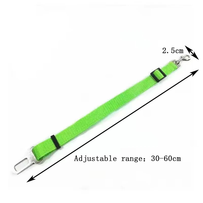 Ceinture de sécurité pour chien