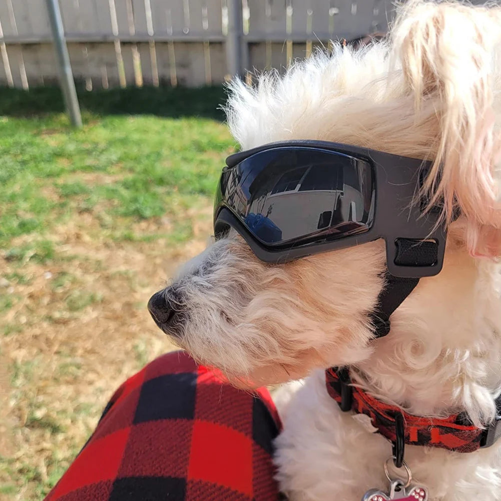 Lunettes de Soleil Ajustables pour Chiens