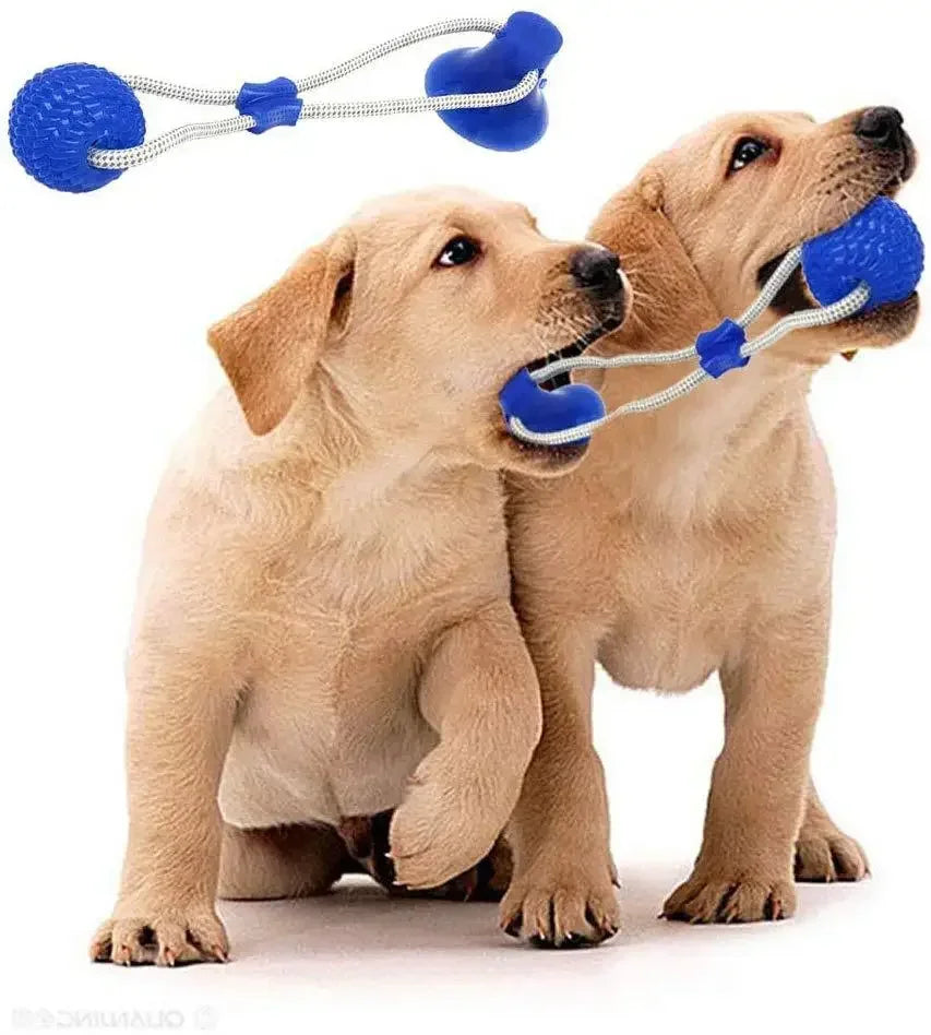 Jouet à Ventouse pour Chiens – Balle à Mordre & Nettoyage des Dents
