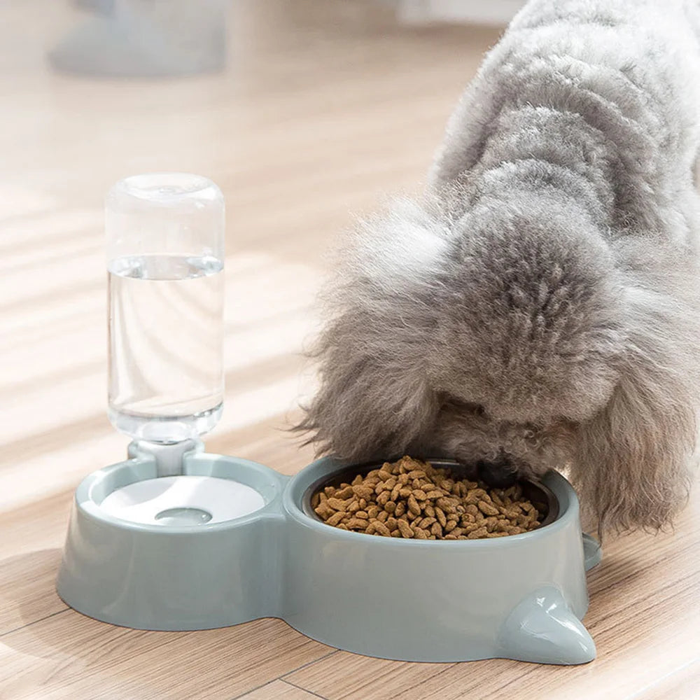 Set de Bols pour Animaux – Bol Anti-débordement & Bol d’eau Automatique