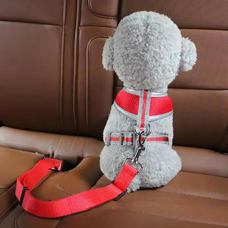 Ceinture de sécurité pour chien