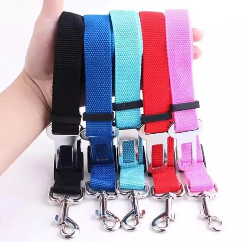 Ceinture de sécurité pour chien