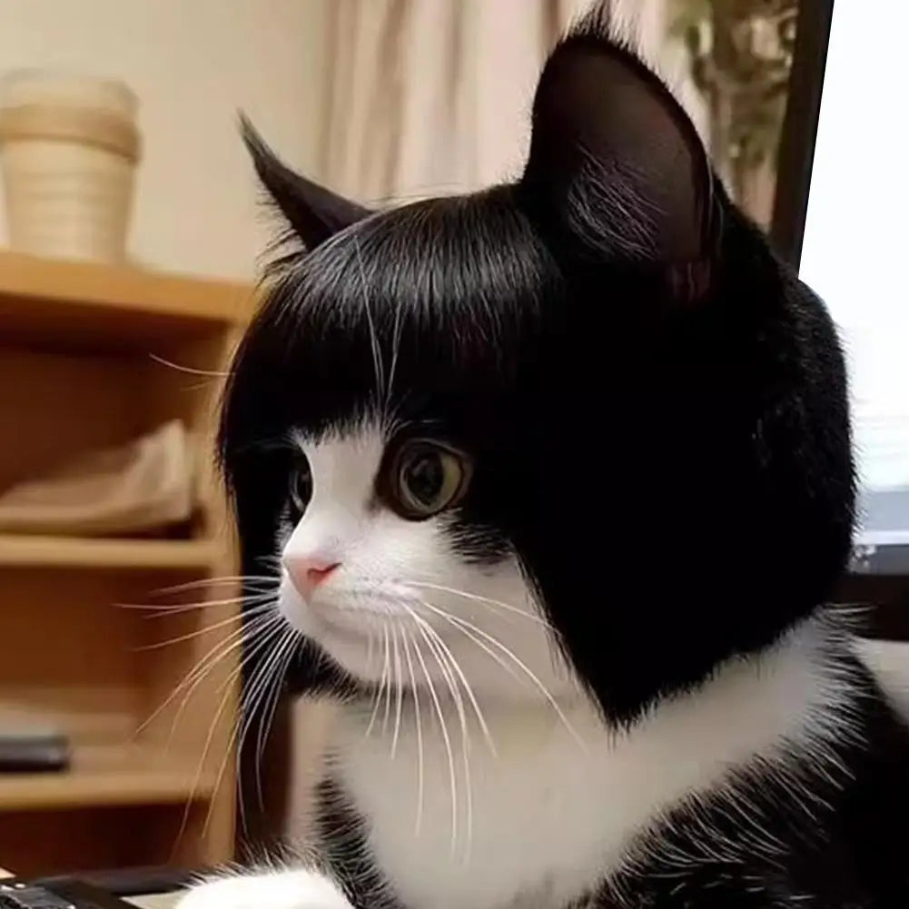 Perruque Cosplay pour Chat – Accessoire de Costume Amusant