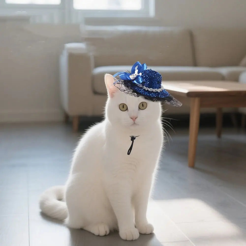 Chapeau Halloween Ajustable pour Animaux