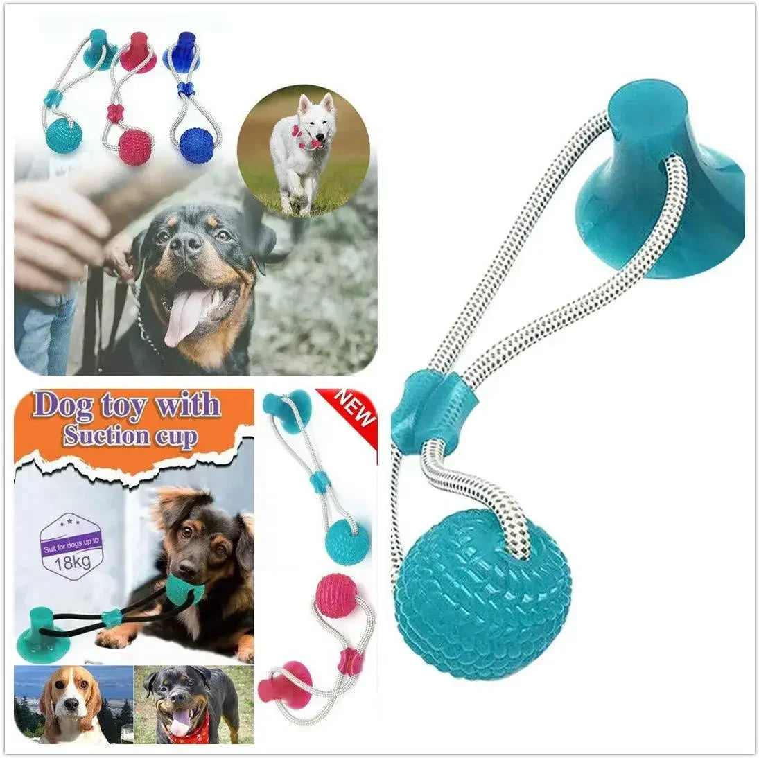 Jouet à Ventouse pour Chiens – Balle à Mordre & Nettoyage des Dents