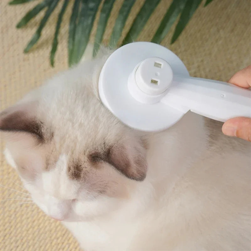 Brosse Démêlante pour Chiens et Chats