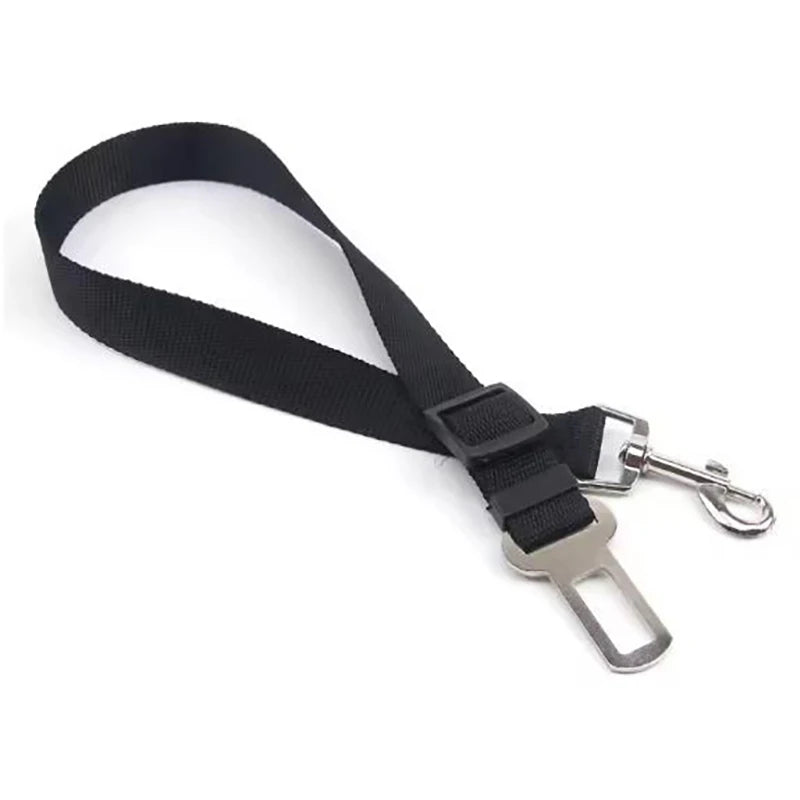 Ceinture de sécurité pour chien