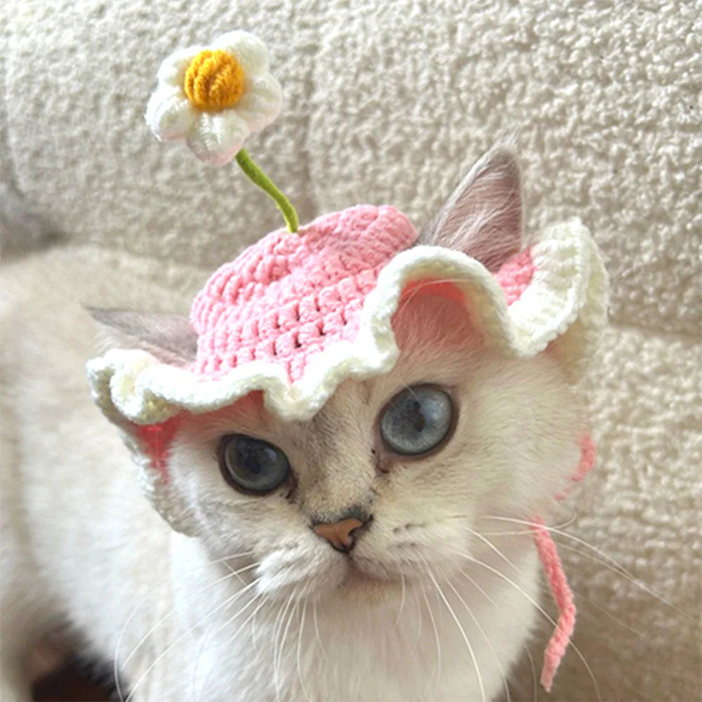 Chapeau tricoté mignon pour chats et petits chiens