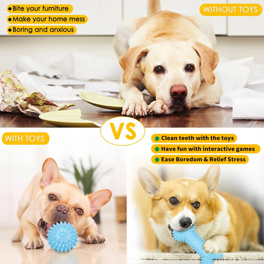 Lot de 5 Jouets en Peluche pour Chiens