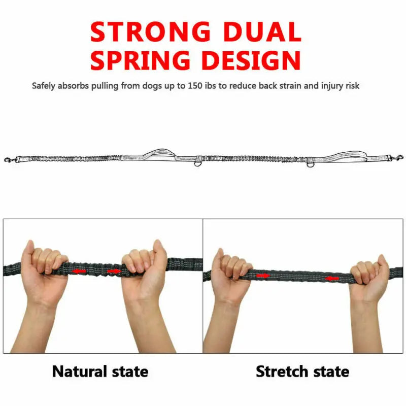 Laisse élastique réfléchissante mains libres pour chien