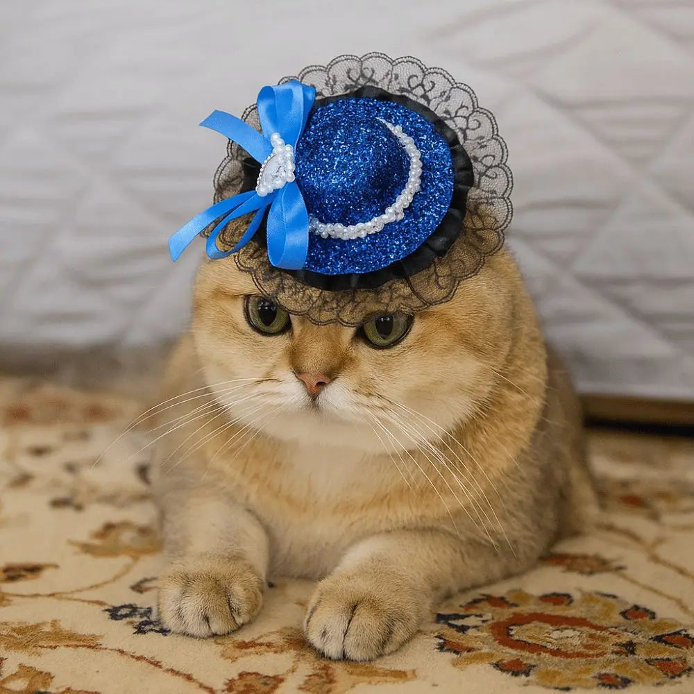 Chapeau Halloween Ajustable pour Animaux