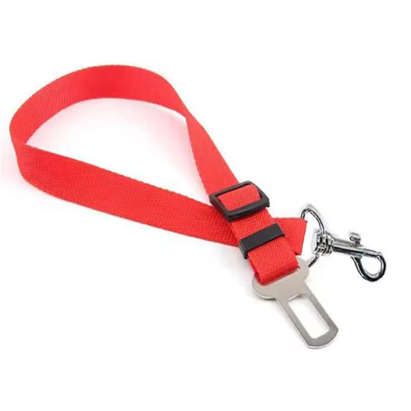 Ceinture de sécurité pour chien