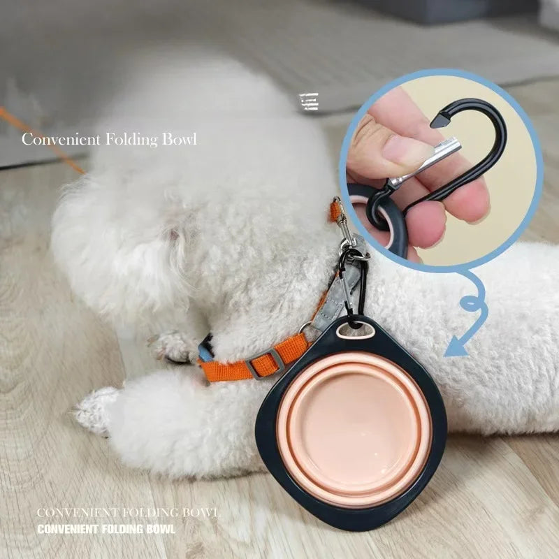 Bol Pliable en Silicone pour Animaux – Petits Chiens