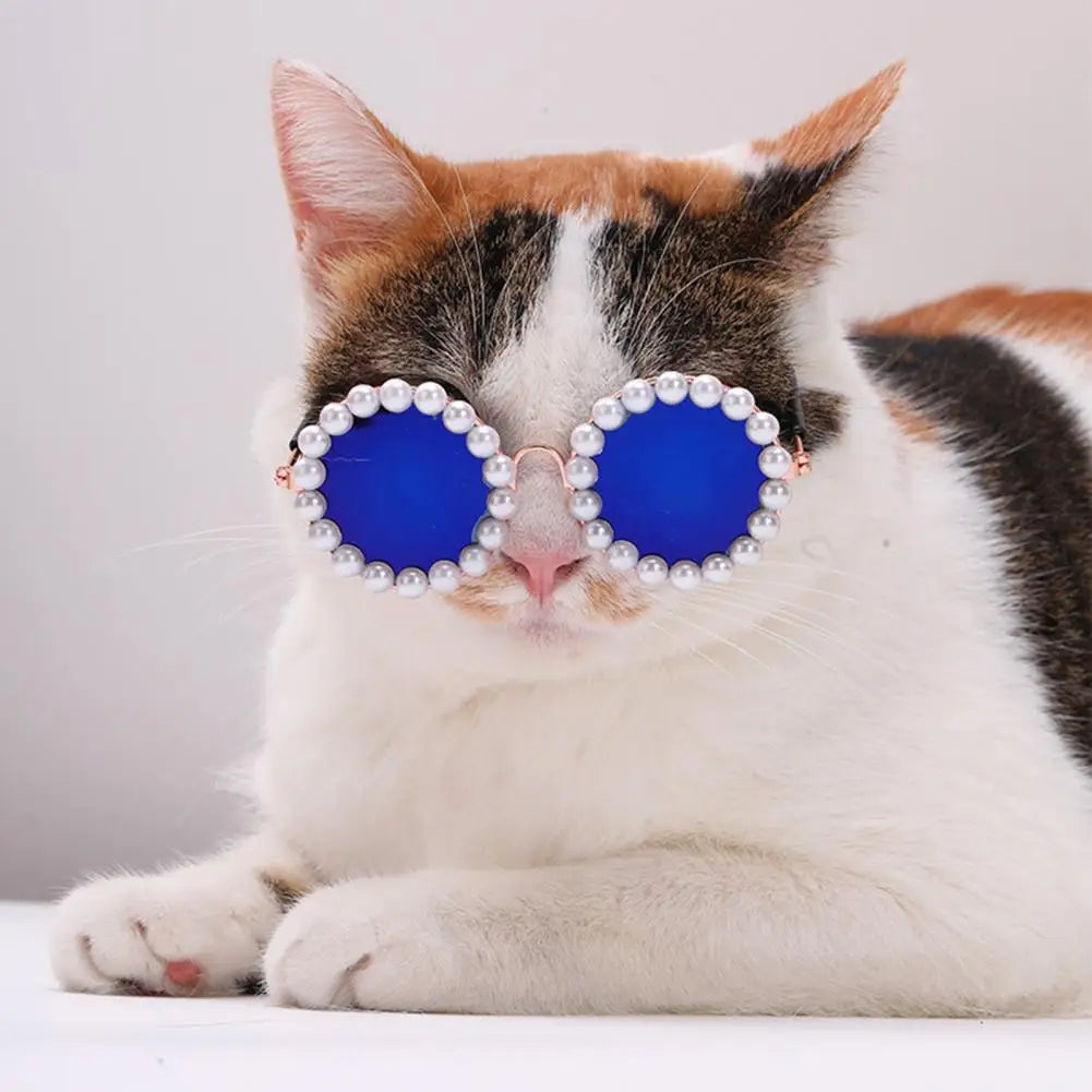 Lunettes de Soleil pour Animaux avec Perles Artificielles