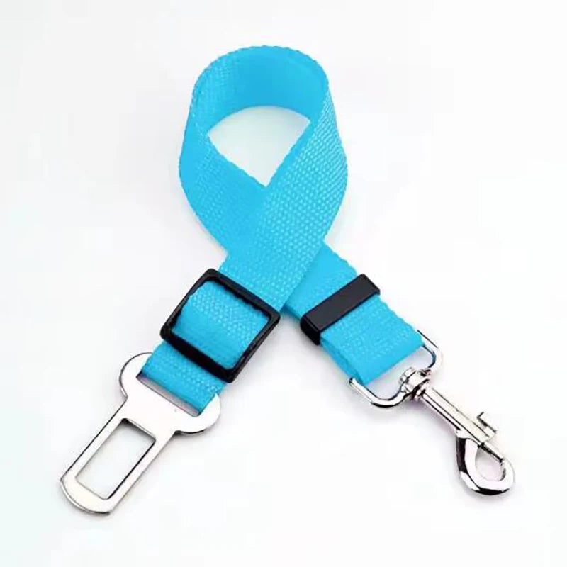 Ceinture de sécurité pour chien
