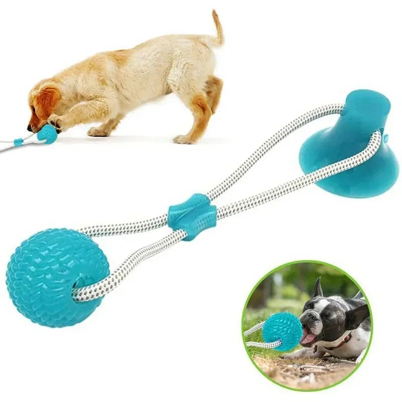 Jouet à Ventouse pour Chiens – Balle à Mordre & Nettoyage des Dents