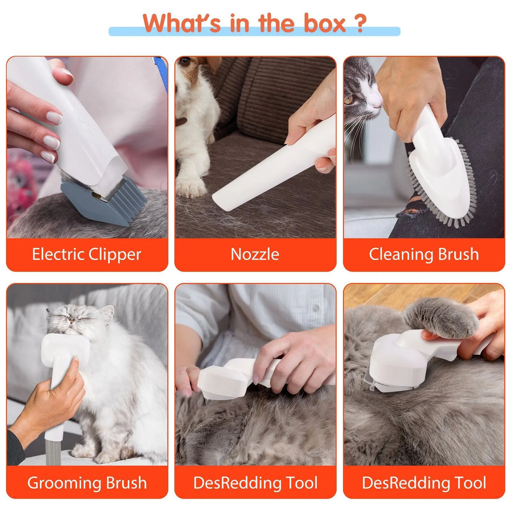 Aspirateur de Toilettage Électronique pour Animaux