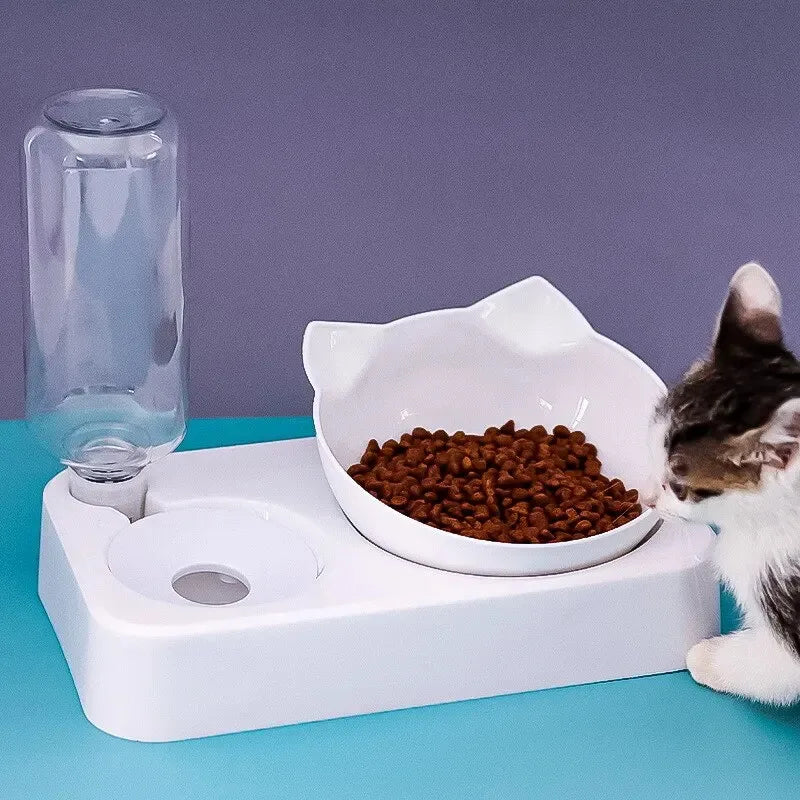 Bol Inclinable 15° pour Animaux avec Distributeur d’Eau Automatique