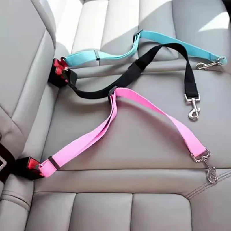 Ceinture de sécurité pour chien