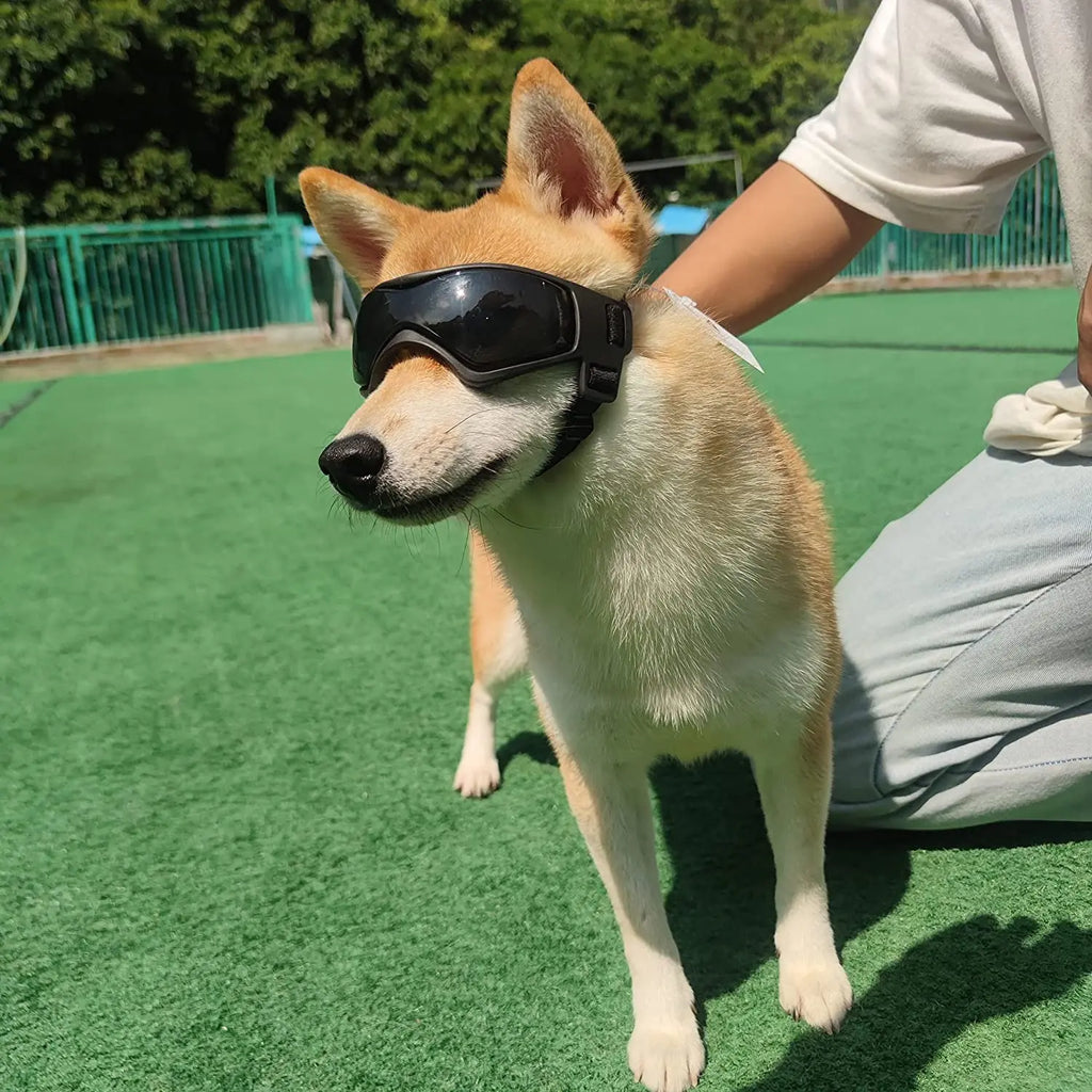 Lunettes de Soleil Ajustables pour Chiens
