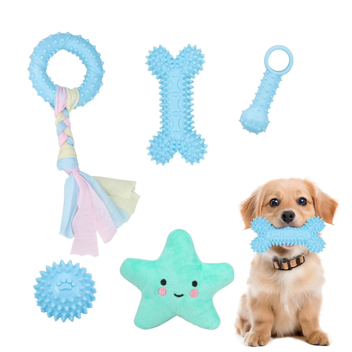 Lot de 5 Jouets en Peluche pour Chiens