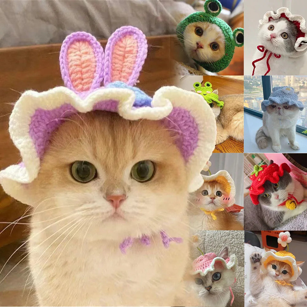 Chapeau tricoté mignon pour chats et petits chiens