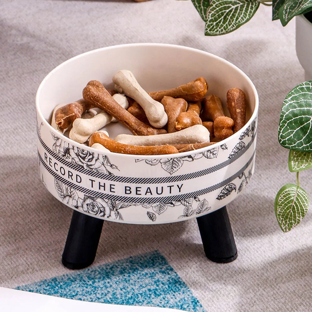 Bols Surélevés en Acier Inoxydable pour Chiens et Chats