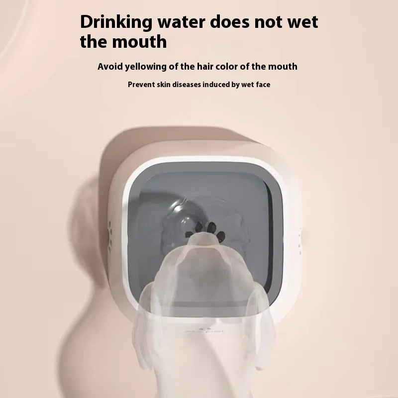 Bol Flottant Anti-Débordement – Anti-éclaboussures pour Chiens & Chats