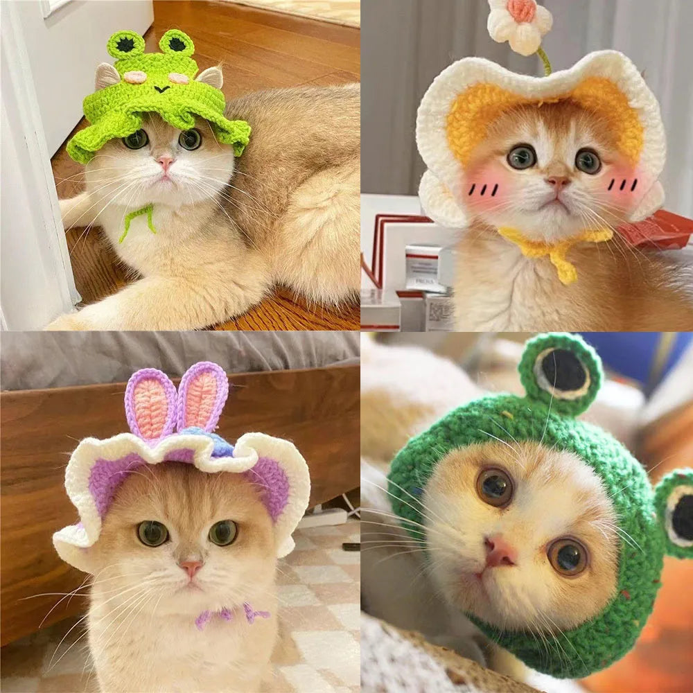 Chapeau tricoté mignon pour chats et petits chiens